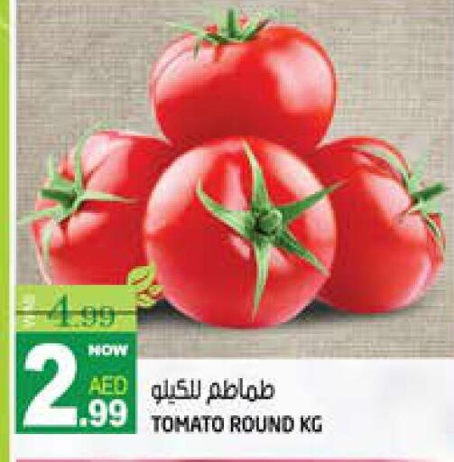  Tomato  in هاشم هايبرماركت in الإمارات العربية المتحدة , الامارات - الشارقة / عجمان