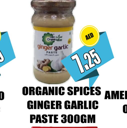  Garlic Paste  in GRAND MAJESTIC HYPERMARKET in UAE - Abu Dhabi