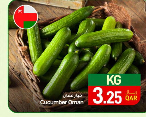  Cucumber  in SPAR in Qatar - Al Daayen