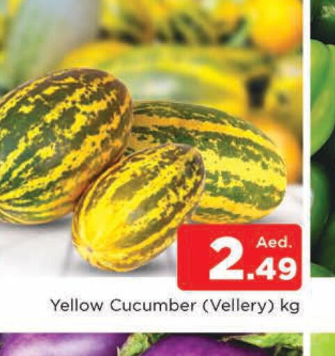  Cucumber  in المدينة in الإمارات العربية المتحدة , الامارات - الشارقة / عجمان