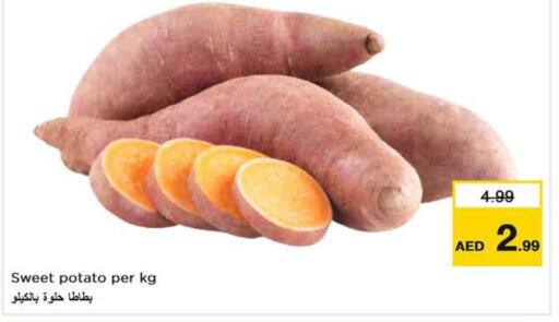  Sweet Potato  in Last Chance  in UAE - Fujairah