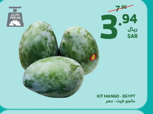  Mangoes  in Al Raya in KSA, Saudi Arabia, Saudi - Ta'if