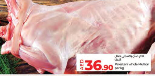  Mutton / Lamb  in Lulu Hypermarket in UAE - Fujairah