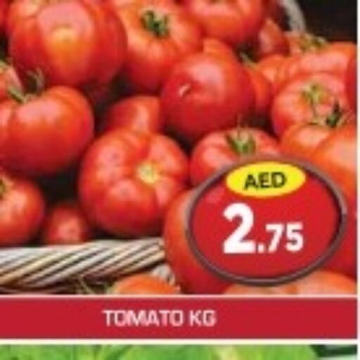  Tomato  in سنابل بني ياس in الإمارات العربية المتحدة , الامارات - أبو ظبي