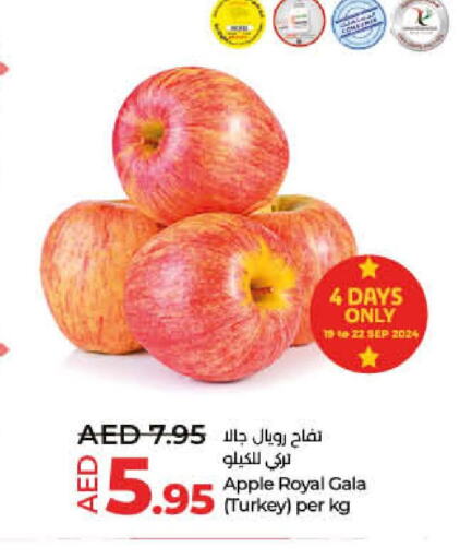  Apples  in لولو هايبرماركت in الإمارات العربية المتحدة , الامارات - الشارقة / عجمان