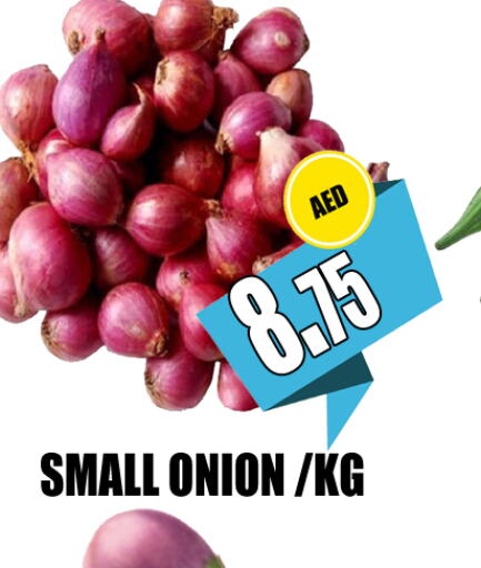  Onion  in GRAND MAJESTIC HYPERMARKET in الإمارات العربية المتحدة , الامارات - أبو ظبي