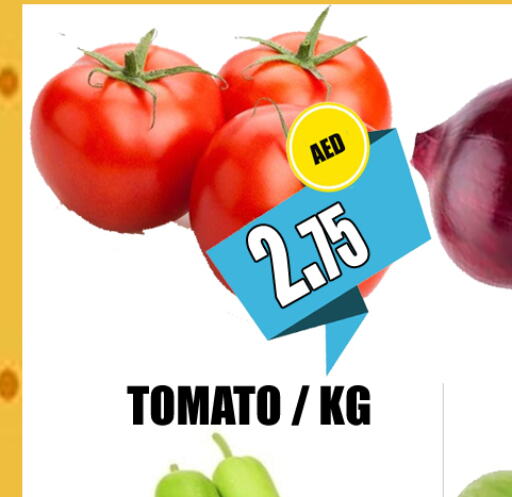  Tomato  in GRAND MAJESTIC HYPERMARKET in الإمارات العربية المتحدة , الامارات - أبو ظبي