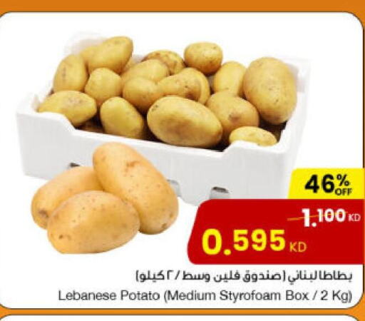  Potato  in مركز سلطان in الكويت - مدينة الكويت