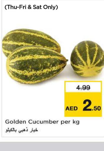  Cucumber  in نستو هايبرماركت in الإمارات العربية المتحدة , الامارات - الشارقة / عجمان