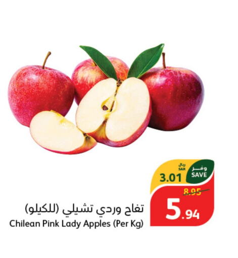  Apples  in Hyper Panda in KSA, Saudi Arabia, Saudi - Riyadh