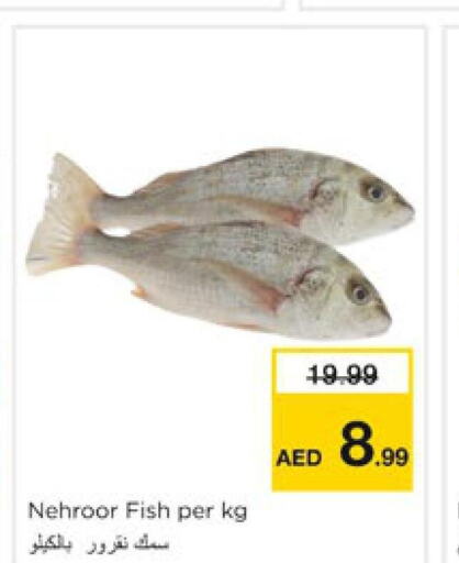    in Nesto Hypermarket in UAE - Sharjah / Ajman