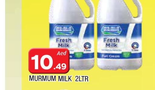  Fresh Milk  in AL MADINA in UAE - Sharjah / Ajman