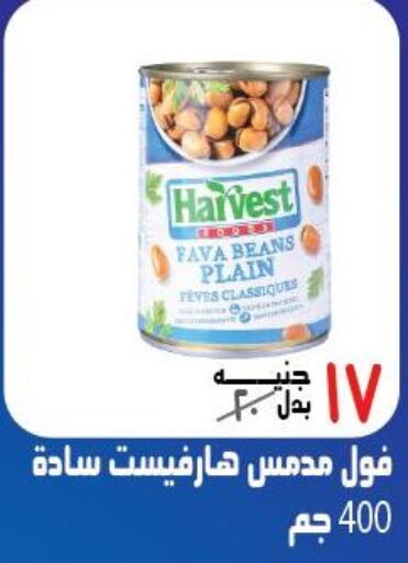  Fava Beans  in أسواق المهدي in Egypt - القاهرة