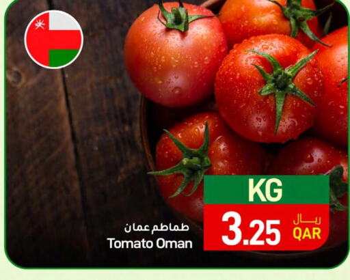  Tomato  in ســبــار in قطر - الريان