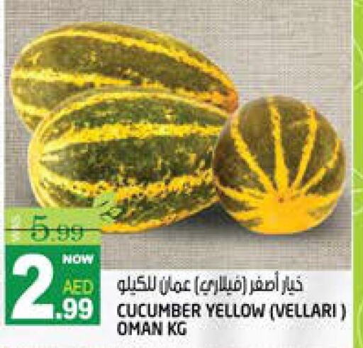  Cucumber  in هاشم هايبرماركت in الإمارات العربية المتحدة , الامارات - الشارقة / عجمان