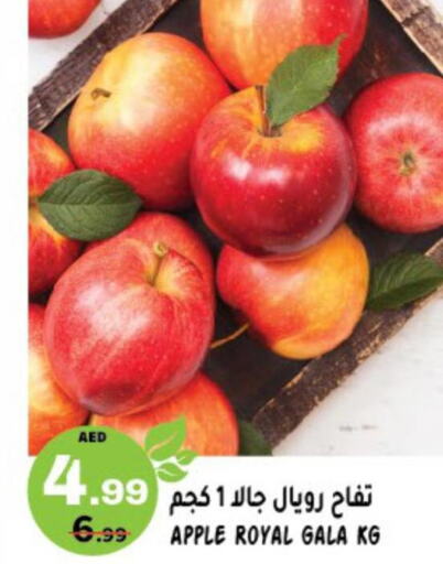  Apples  in هاشم هايبرماركت in الإمارات العربية المتحدة , الامارات - الشارقة / عجمان