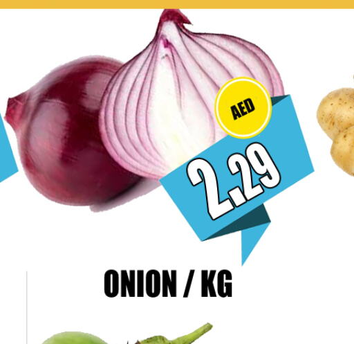  Onion  in GRAND MAJESTIC HYPERMARKET in الإمارات العربية المتحدة , الامارات - أبو ظبي