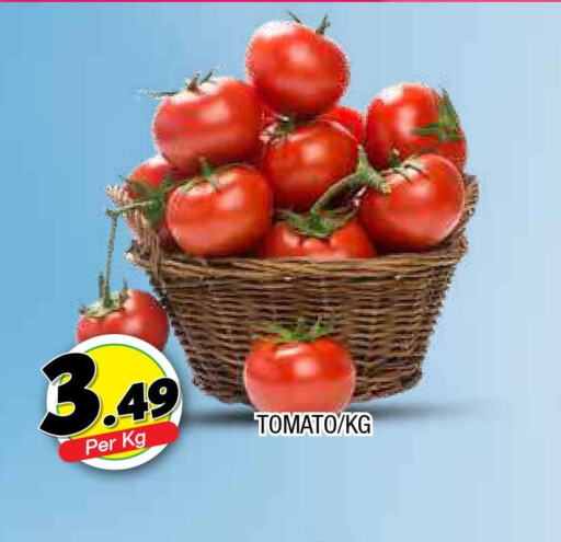  Tomato  in المدينة in الإمارات العربية المتحدة , الامارات - الشارقة / عجمان