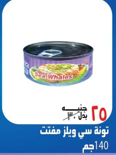  Tuna - Canned  in أسواق المهدي in Egypt - القاهرة