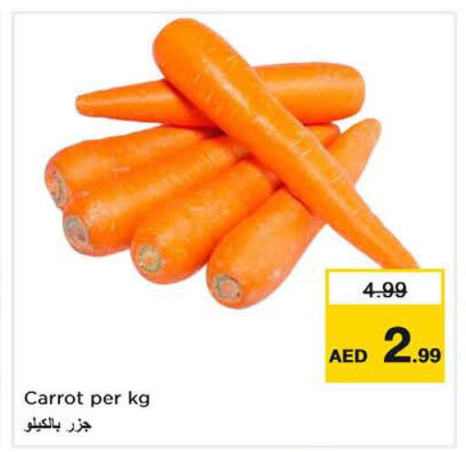  Carrot  in Last Chance  in UAE - Fujairah