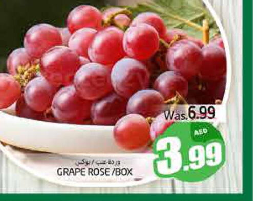  Grapes  in PASONS GROUP in UAE - Al Ain