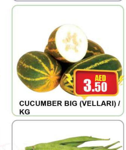  Cucumber  in كويك سوبرماركت in الإمارات العربية المتحدة , الامارات - الشارقة / عجمان