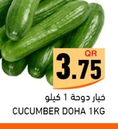  Cucumber  in Aswaq Ramez in Qatar - Al Daayen