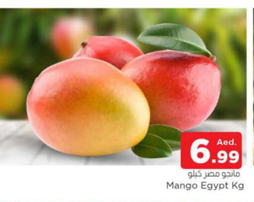 Mango Mango  in AL MADINA in UAE - Sharjah / Ajman