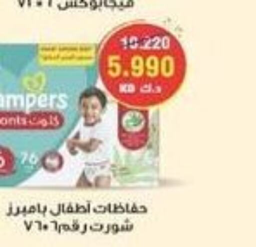 Pampers   in جمعية سلوى التعاونية in الكويت - محافظة الأحمدي