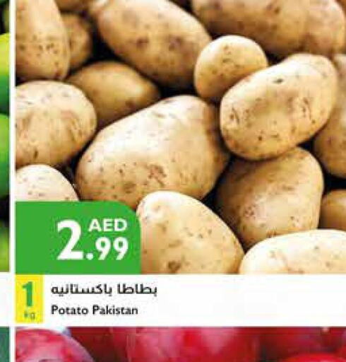  Potato  in إسطنبول سوبرماركت in الإمارات العربية المتحدة , الامارات - رَأْس ٱلْخَيْمَة