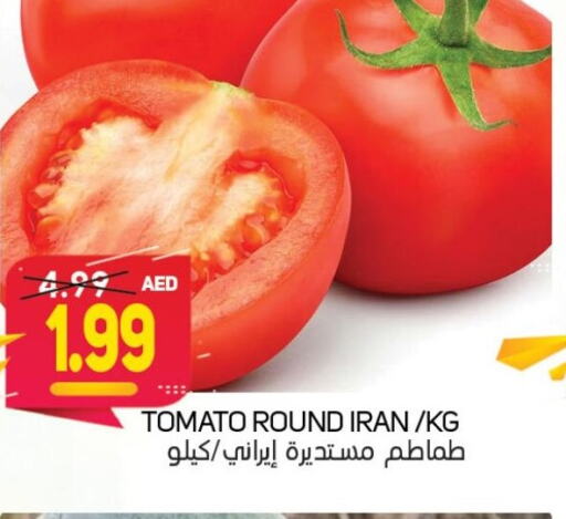  Tomato  in سوق المبارك هايبرماركت in الإمارات العربية المتحدة , الامارات - الشارقة / عجمان