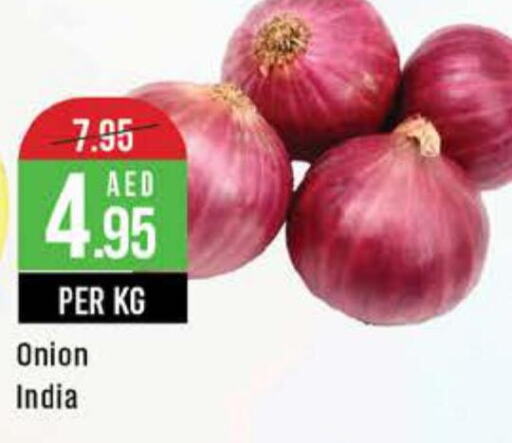  Onion  in ويست زون سوبرماركت in الإمارات العربية المتحدة , الامارات - أبو ظبي