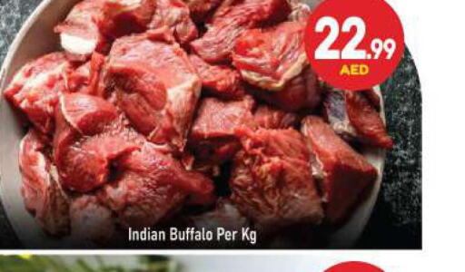  Buffalo  in BIGmart in UAE - Dubai