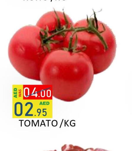  Tomato  in رويال جلف هايبرماركت in الإمارات العربية المتحدة , الامارات - أبو ظبي