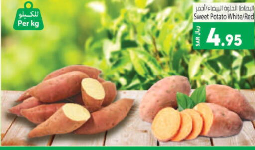  Sweet Potato  in Kabayan Hypermarket in KSA, Saudi Arabia, Saudi - Jeddah