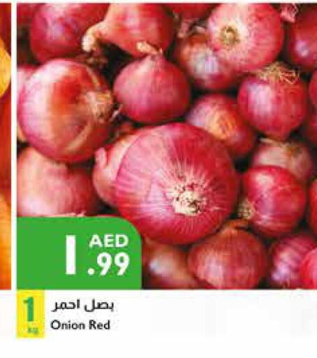  Onion  in Istanbul Supermarket in UAE - Dubai