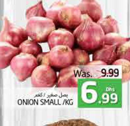  Onion  in PASONS GROUP in UAE - Al Ain