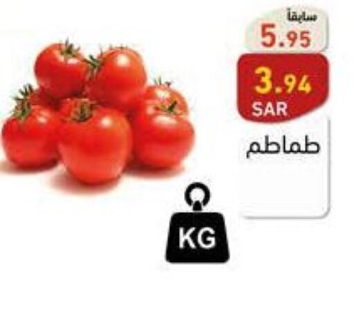  Tomato  in أسواق رامز in مملكة العربية السعودية, السعودية, سعودية - تبوك