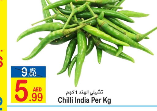  Chilli / Capsicum  in سن اند ساند هايبر ماركت ذ.م.م in الإمارات العربية المتحدة , الامارات - رَأْس ٱلْخَيْمَة