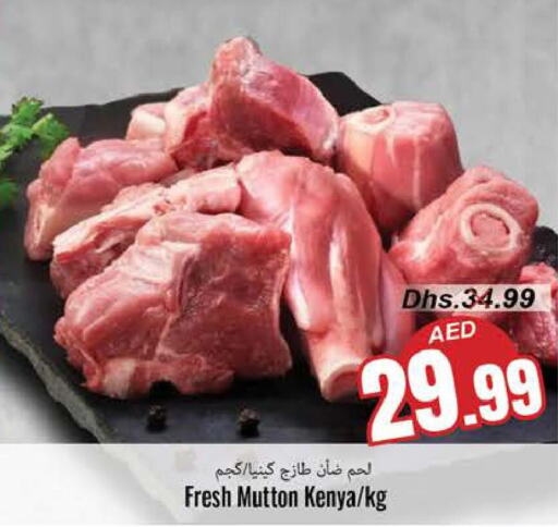  Mutton / Lamb  in PASONS GROUP in UAE - Fujairah