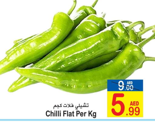  Chilli / Capsicum  in سن اند ساند هايبر ماركت ذ.م.م in الإمارات العربية المتحدة , الامارات - رَأْس ٱلْخَيْمَة