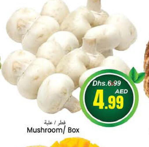  Mushroom  in PASONS GROUP in UAE - Fujairah