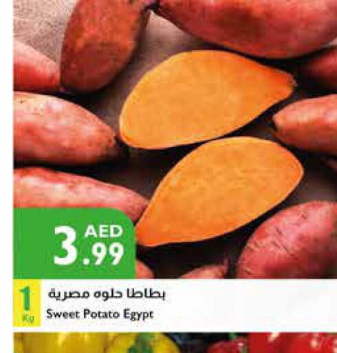  Sweet Potato  in إسطنبول سوبرماركت in الإمارات العربية المتحدة , الامارات - رَأْس ٱلْخَيْمَة