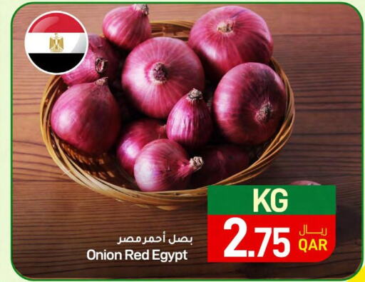  Onion  in ســبــار in قطر - الريان