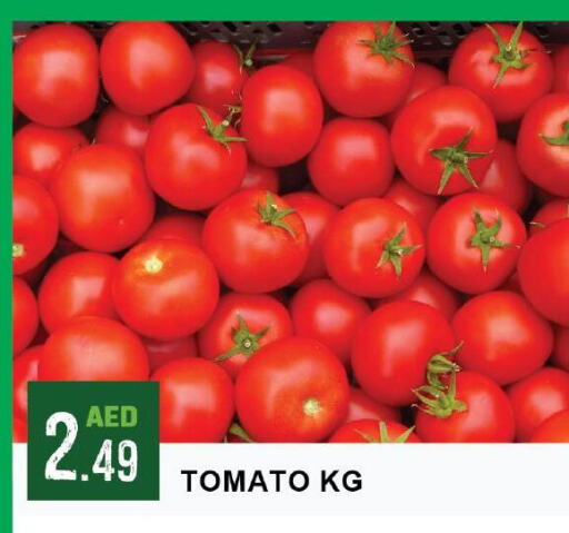  Tomato  in Azhar Al Madina Hypermarket in UAE - Abu Dhabi