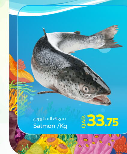    in Paris Hypermarket in Qatar - Umm Salal