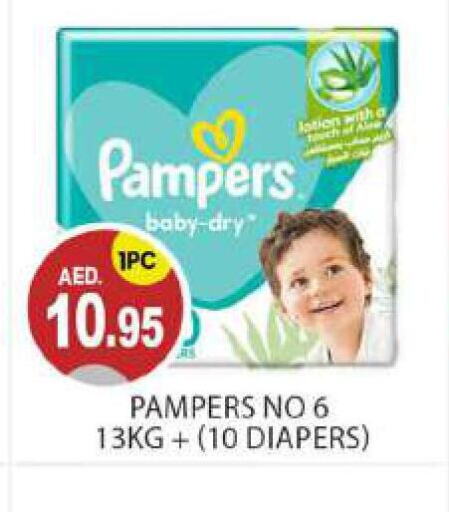 Pampers   in TALAL MARKET in UAE - Abu Dhabi