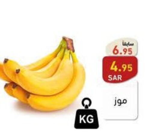  Banana  in أسواق رامز in مملكة العربية السعودية, السعودية, سعودية - الأحساء‎