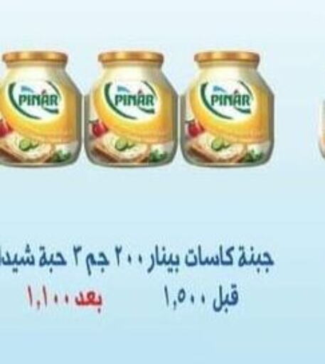 PINAR   in جمعية الرقة التعاونية in الكويت - محافظة الجهراء