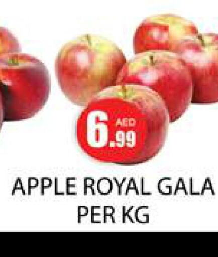  Apples  in Zain Mart Supermarket in UAE - Ras al Khaimah